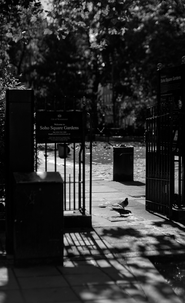 Soho Square Gardens, London. Leica M Monochrom (2012) with Leica 50mm Noctilux-M f/1.0 (1976). © Thorsten Overgaard.