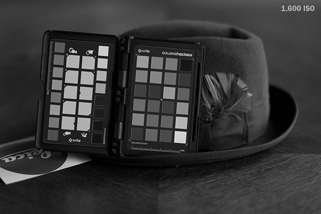 1/30 second at 1600 ISO. Leica M Monochrom with Leica 90mm APO-Summicron-M ASPH f/2.0