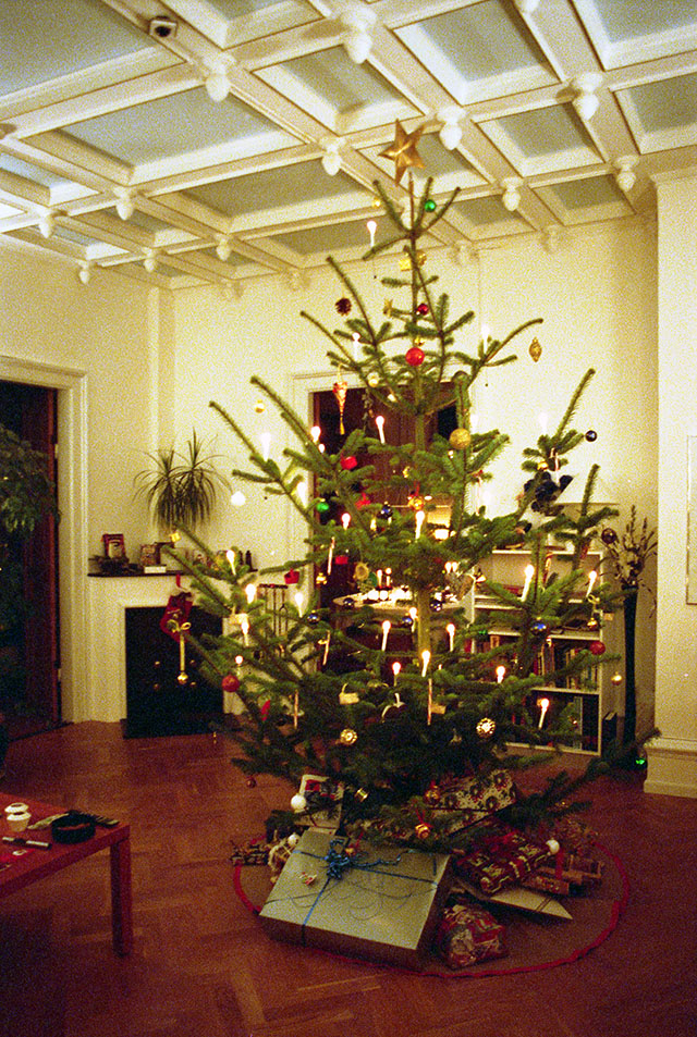 Christmas in Villa Nøjsomheden, 1995.