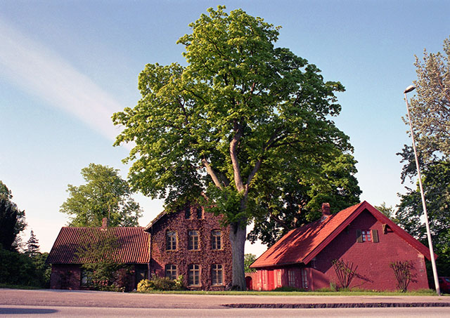 Villa Nøjsomheden seen from the main road, Silkeborgvej, 1993. 