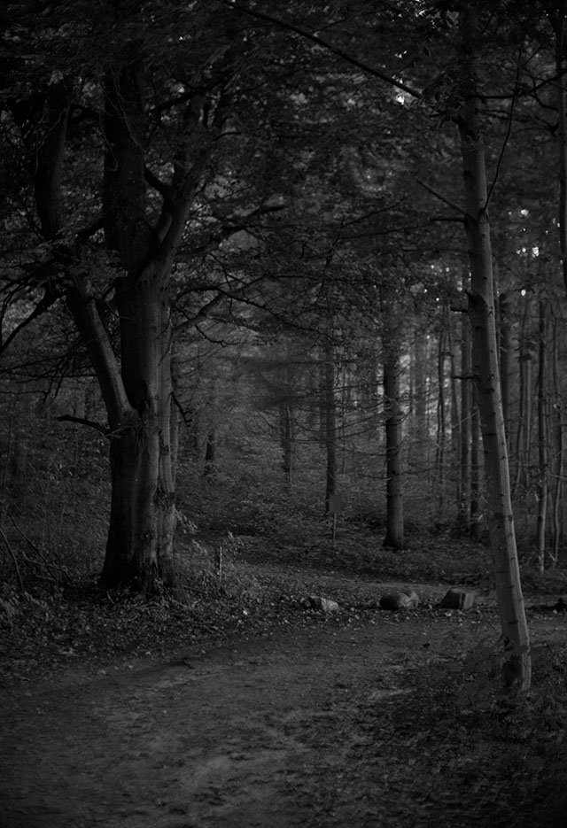 Leica M Monochrom (2012) with Leica 50mm Noctilux-M f/1.0 (1976). © Thorsten von Overgaard.