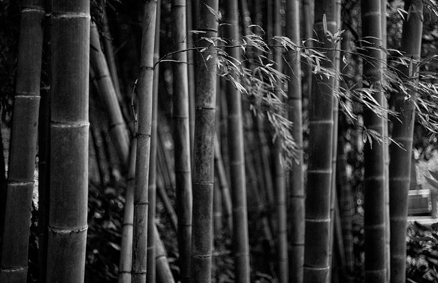 Kyoto. © Thorsten Overgaard. 