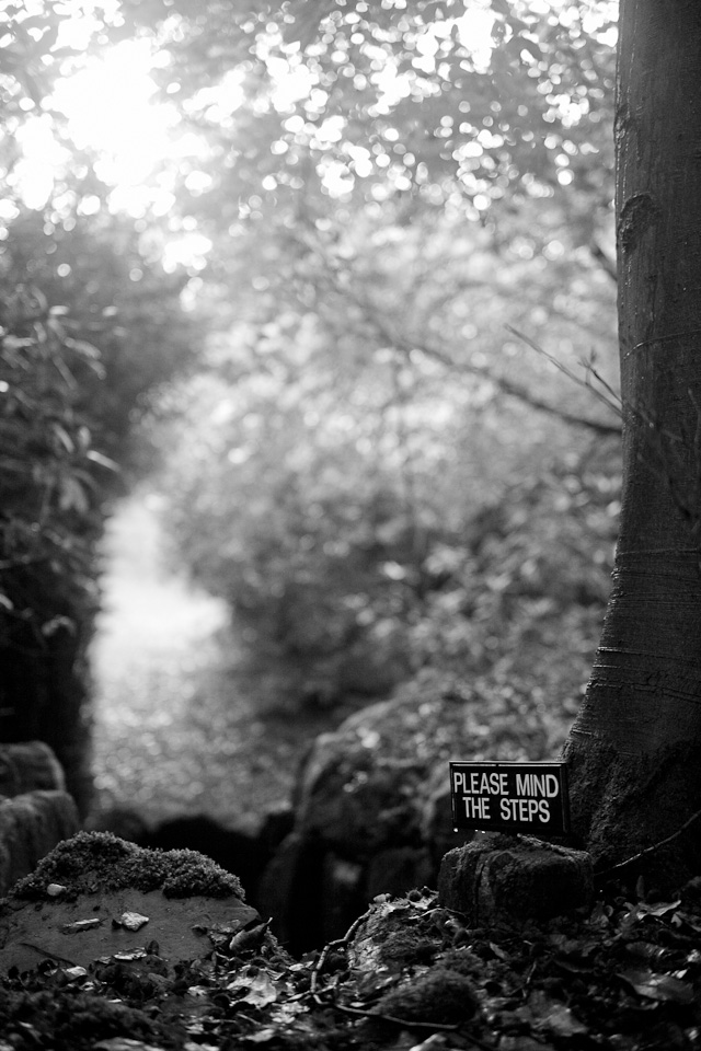 They are so polite in the UK. Leica M 240 with Leica 50mm APO-Summicron-M ASPH f/2.0. 200 ISO