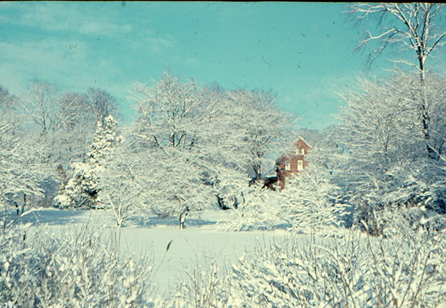 Villa Nøjsomheden seen from the park 1956. 