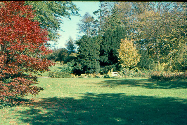 The park of Villa Nøjsomheden, 1956.