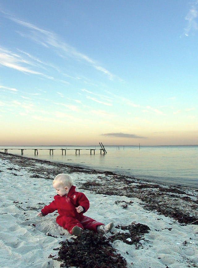 Robin at the beach, September 2004 Leica Digilux, P mode