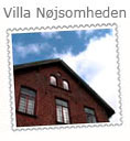 Villa Nølsomhedden