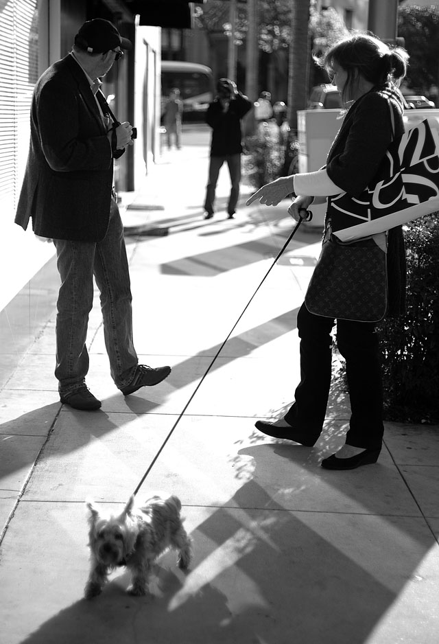 Marc Taylor and Richard Yee persuading the italian lady to have her dog shot. Leica M9 with 50mm Summicron-M f/2.0