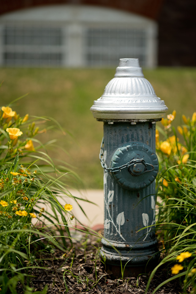 The daily fire hydrant photo. Leica M10 with Leica 75mm Noctilux-M ASPH f/1.25. © 2018 Thorsten von Overgaard. 