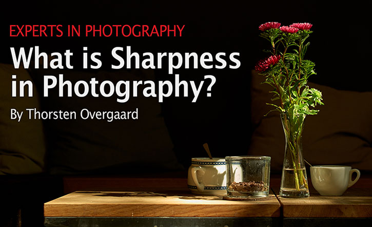 What is sharpness in photography? Article and video by Thorsten von Overgaard. Click to know more... 