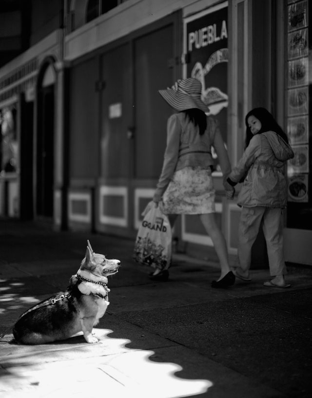 Leica M9 with Leica 50mm Noctilux-M ASPH f/0.95 and B&W 8X ND-filter   