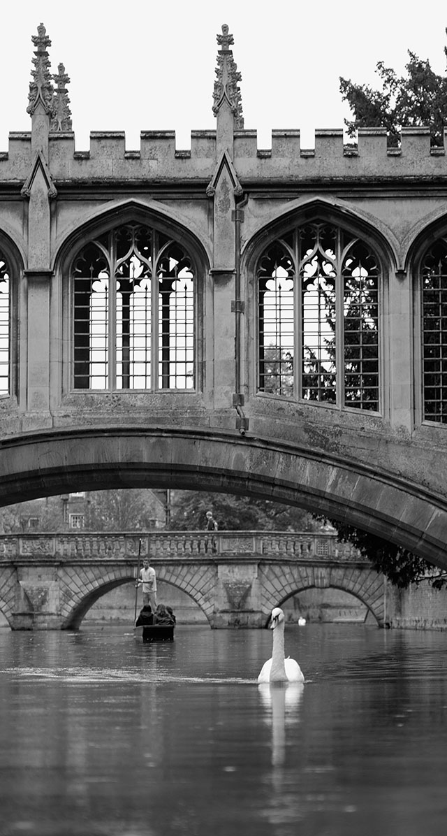 In the peaceful harmony of Cambridge University that has existed for 800 years the students row their parents and tourists through the canals as it is a traditon. Leica M Monochrom with Leica 50mm APO-Summicron-M ASPH f/2.0
