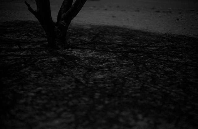 Shadows by moonlight. Leica M Monochrom