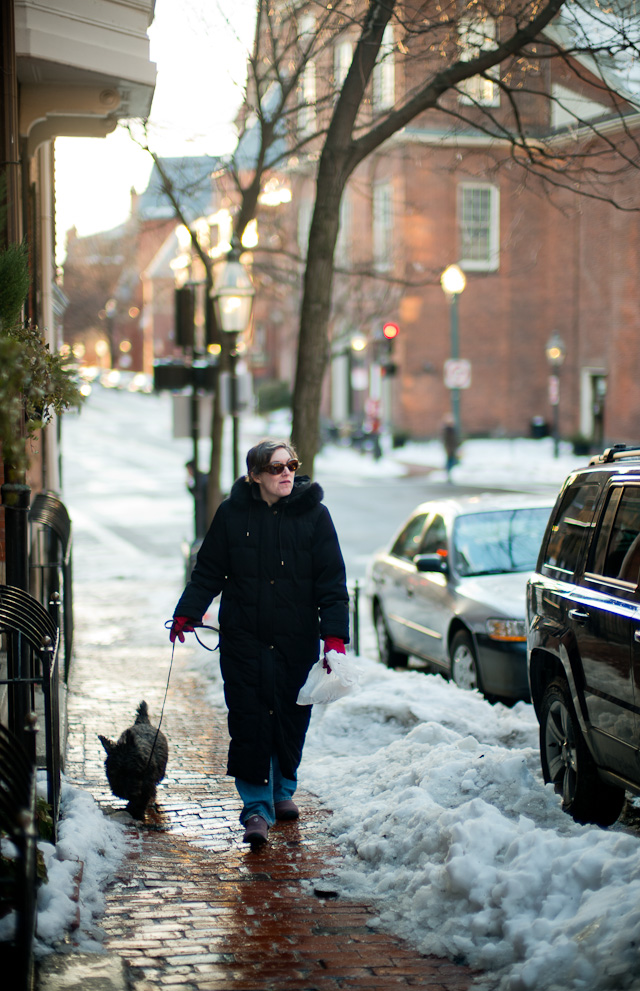 After snow comes springtime in Boston. Leica M 240 with Leica 50mm Noctilux-M ASPH f/0.95  