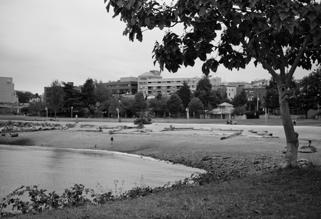 Crab Park in Vanouver. Leica M-D 262 with Leica 50mm APO-Summicron-M ASPH f/2.0. © 2016 Thorsten Overgaard. 