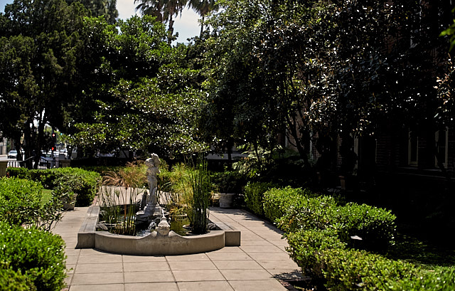 Front garden in West Hollywood. Leica M10 with Leica 75mm Noctilux-M ASPH f/1.25. © 2018 Thorsten von Overgaard.