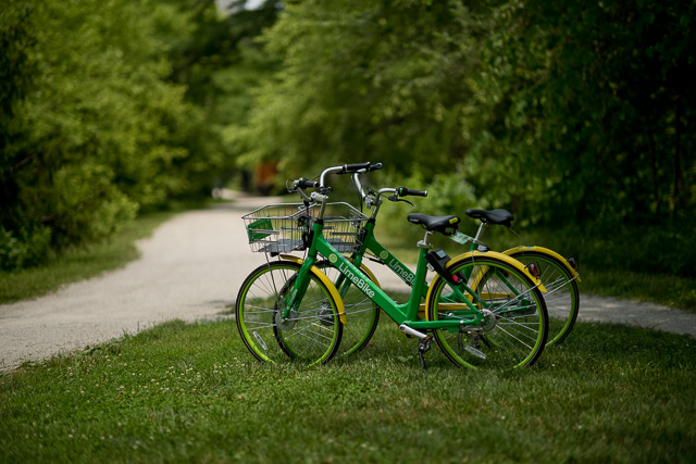 Bicycles in the park. Free to use. Leica M10 with Leica 75mm Noctilux-M ASPH f/1.25. © 2018 Thorsten von Overgaard. 