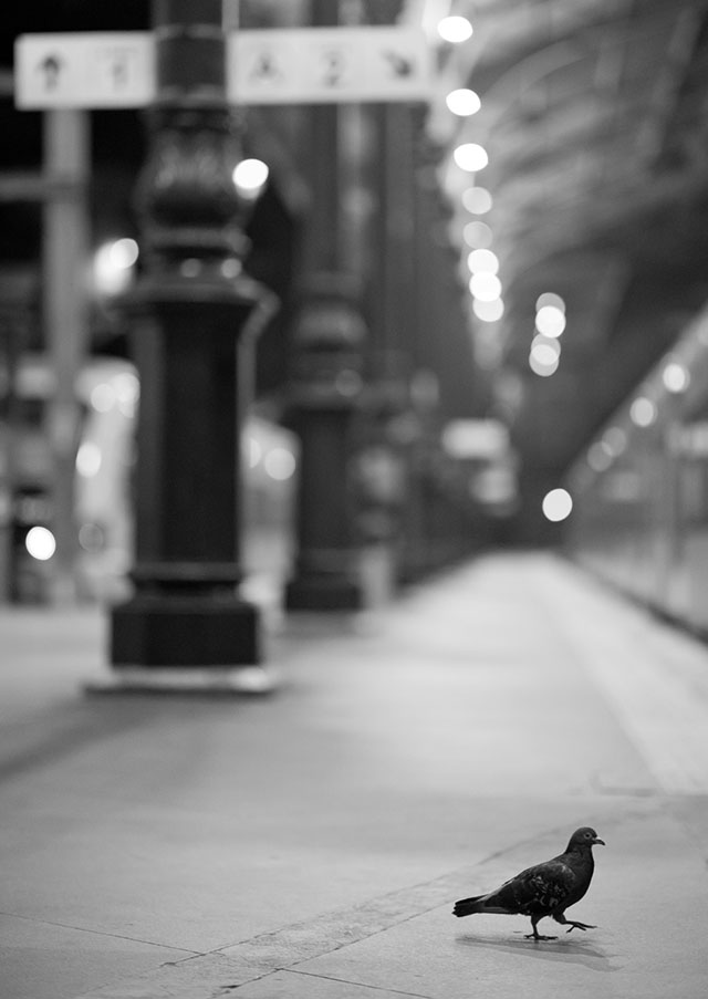 Waiting for the train at the station in Portugal. Leica M10 with Leica 75mm Noctilux-M ASPH f/1.25. © 2018 Thorsten von Overgaard.