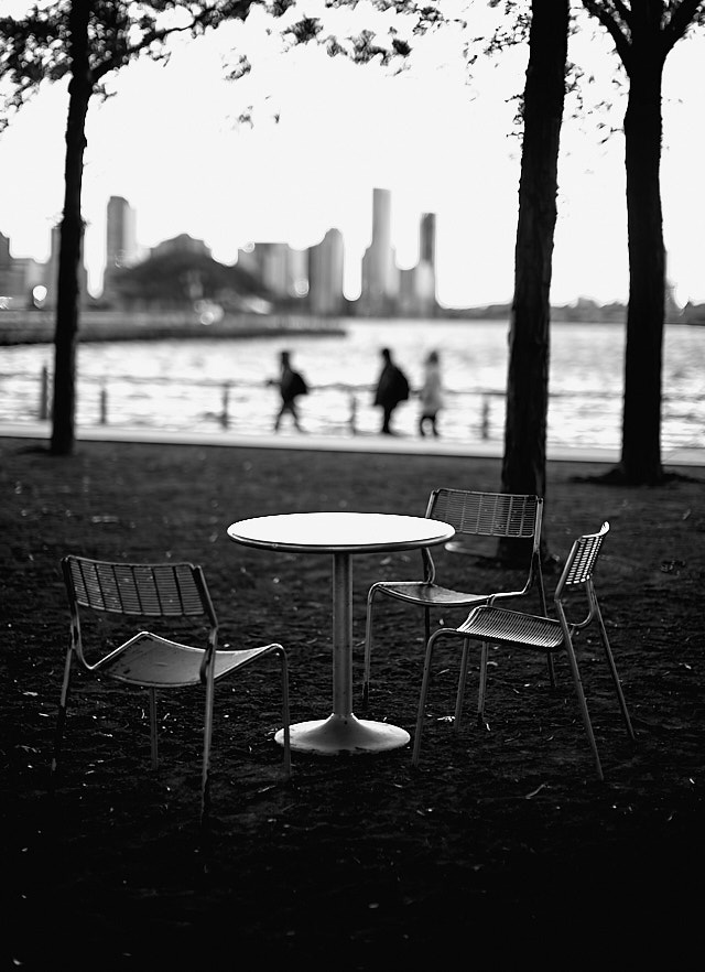 By Hudson River. Leica M10-P with Leica 50mm Noctilux-M ASPH f/0.95. © Thorsten von Overgaard.