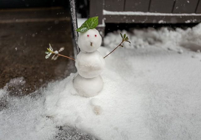 Snow man in New York 2016. Leica Q. © Thorsten Overgaard.