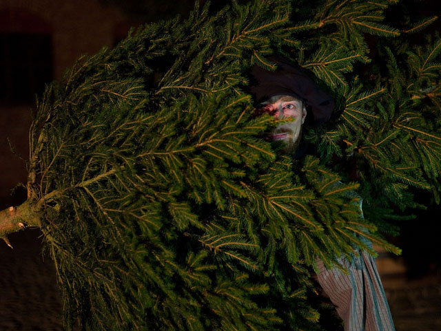 In Europe almost all households buy a real Christmas tree to put indoor. It doesn' make much sense if you think about it, but it's a traidtion and a real tree smells really nice. Few would buy a plastic tree. Leica M9. © Thorsten Overgaard.