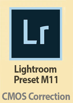 Thorsten Overgaard  Lightroom Preset for Leica 11:  'Black and white tones'