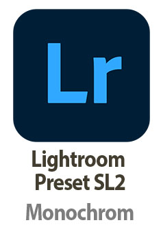 Thorsten Overgaard 
Lightroom Preset for 
Leica SL2
"Black and white tones"