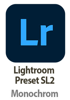 Thorsten Overgaard
Lightroom Preset for
Leica SL2
"Black and white tones"