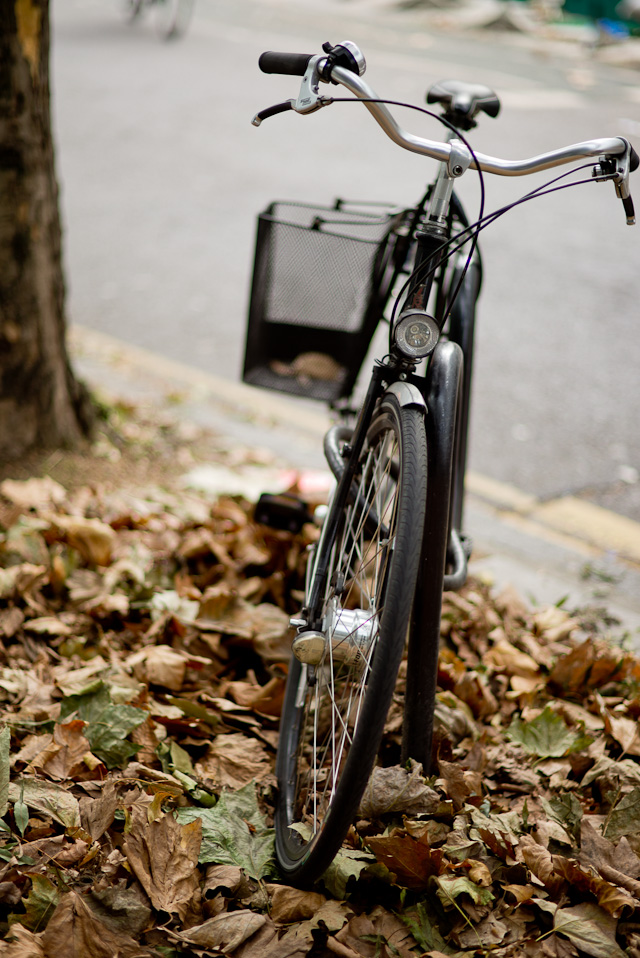 Leica M 240 with Leica 75mm Summilux-M f/1.4 