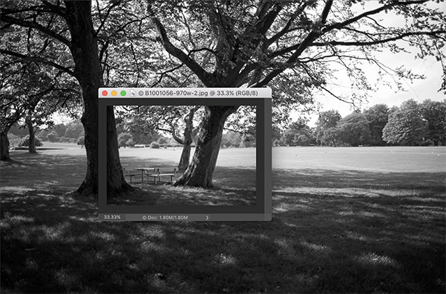 75mm photo laid onto a 28mm photo. © Thorsten Overgaard.