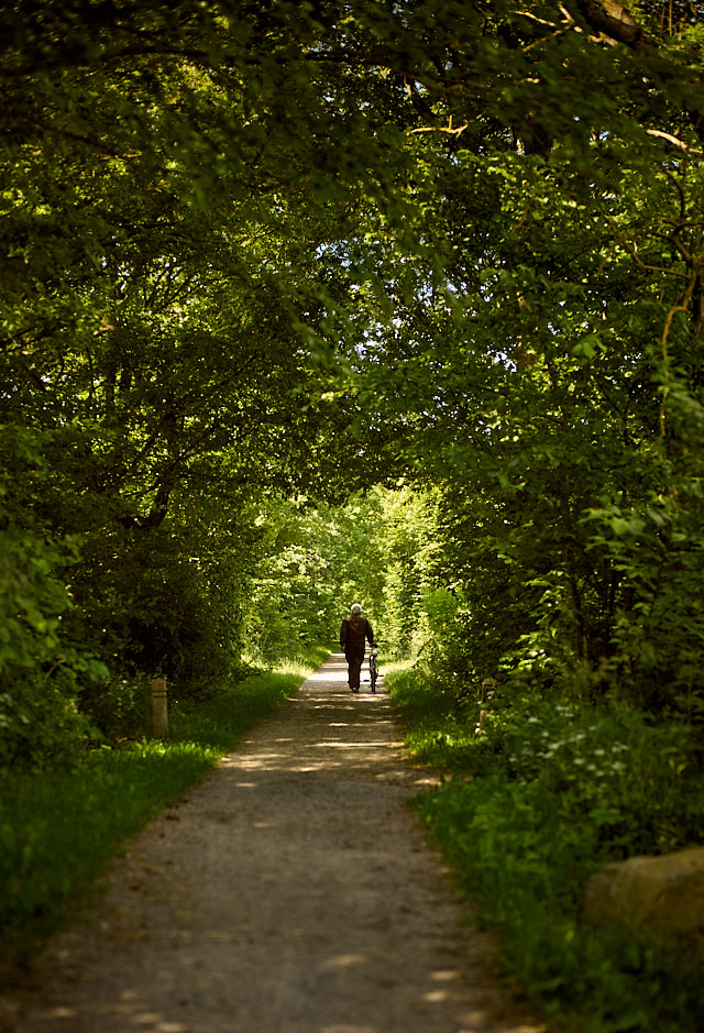 A walk around the lake in Brabrand. Leica M10-R with Leica 50mm Summiluxc-M ASPH f/1.4 BC. © Thorsten Overgaard.  Brabrandstien, Brabrandsøen.