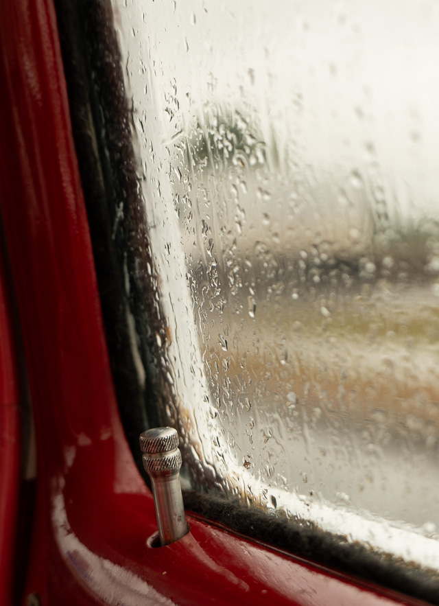 The Leica D-Lux 8 can do macro and close-up. © Thorsten Overgaard. 