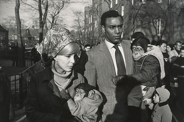 Garry Winogrand (1928-1984) said, "I photograph to see what the world looks like in photographs.". Here a photo, "Central Park Zoo" taken in New York in 1967. Read an interview of 1982 with him, or video here from Rice University. 