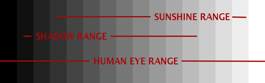 The sensor of any camera has a limited dynamic range so you must choose if you want to capture the highlight details (and the shadow details are in black), or the shadow details (and the brigher areas are all white) - or you must work with light that doesn't offer such a wide dynamic range. The human eye suppsedly has a dynamic range that can see from black to entire white. Which is true, except that the way we do it with the eyes is that we capture one scene at the time, then stitch them together mentally to make a whole. But of course, this perception of the whole is what confuses most people: "Why can't I photograph what I see?".
