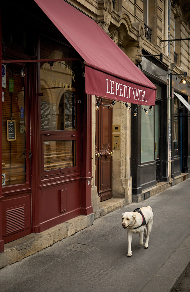 Taking a walk in Paris. © Thorsten Overgaard. 