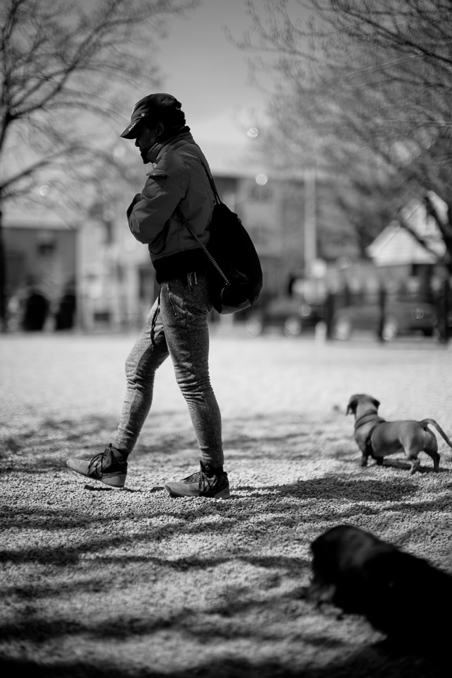 At the dog park in Toronto. Leica M240 with Leica 50mm Noctilux f/0.95. © Thorsten Overgaard.