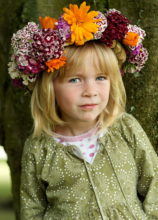 Robin with flowers. Leica R9 with DMR module, 80mm f/1.4 Summilux-R @ f/3.4, 100 ISO, DNG-file converted using Imacon/Hasselblad FlexColor 4.8.6. (You can spot a minor backfocus-problem on this photo as the focus lies 3-4 cm. behind the focus point, which was the eyes)