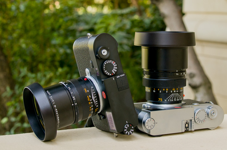 The 75mm Summicron with the E49 shade, and the 75mm Summilux with the E60-75 shade. 