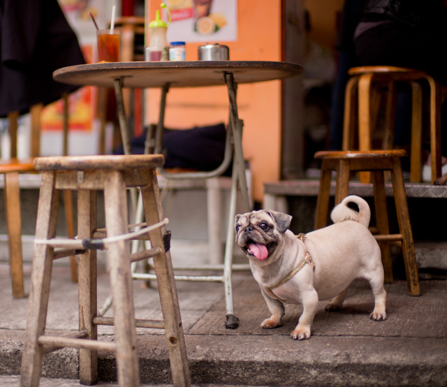 Hong Kong. Leica M-D 262 with Leica 50mm Noctilux-M ASPH f/0.95. © 2016 Thorsten Overgaard. 