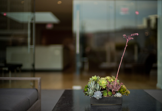 A zen moment in the Leica Store Los Angeles. The open atrium on 1st floor for those who need a cigarette while considering which lens to get next. Thorsten Overgaard, Fbeuary 2014. 