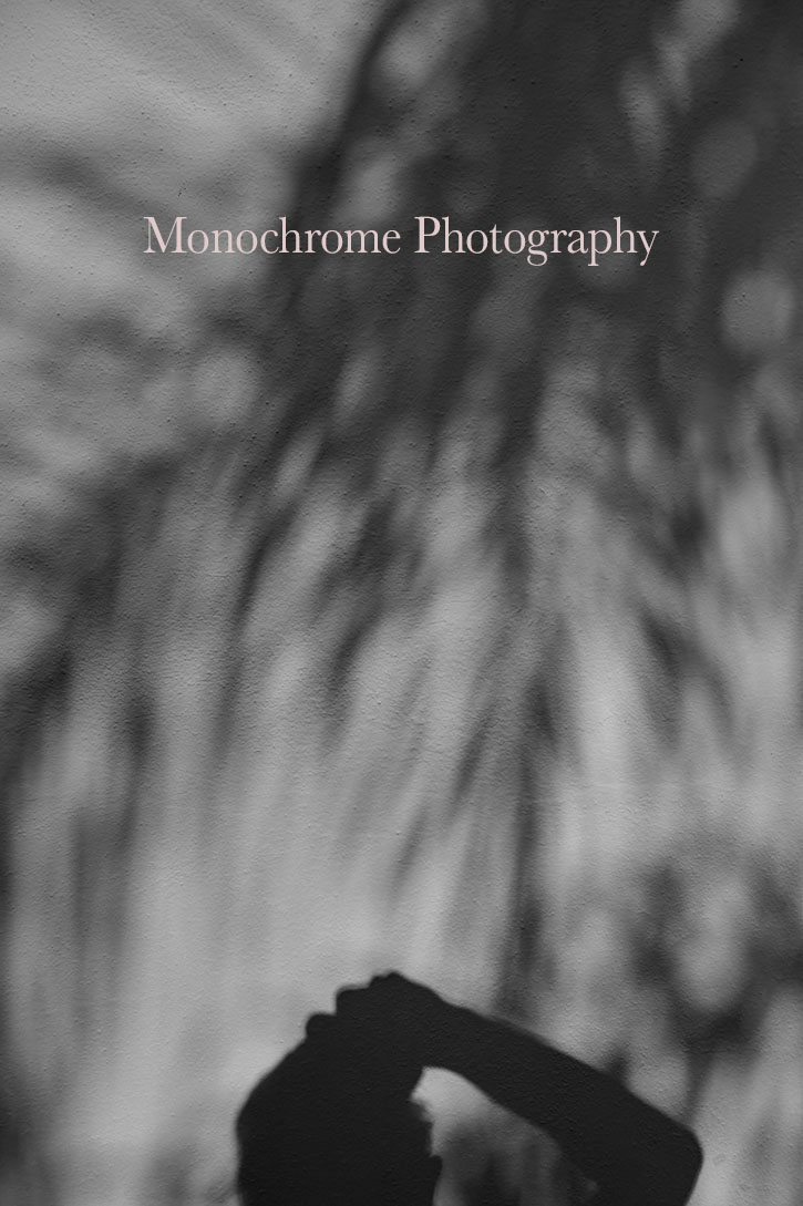This is the first article in a series on "Monochrome Photography" by Thorsten von Overgaard. 