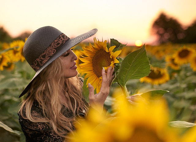 Sunset in a sunflower field in Lovas, Croatia, a few minutes from the border to Bosnia. Leica SL2 with Leica 50mm Summilux-M ASPH f/1.4 BC. © Thorsten Overgaard. 