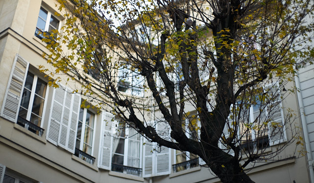 art of the "scenic overload" of Paris. Leica SL2 with Leica 50mm Noctilux-M ASPH f/0.95. © Thorsten Overgaard. 