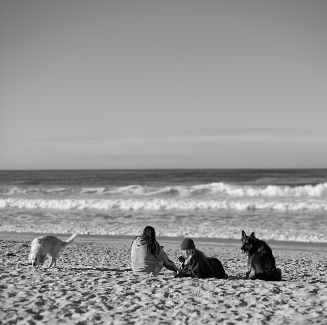 Carmel-by-the-Sea. © Thorsten Overgaard. 