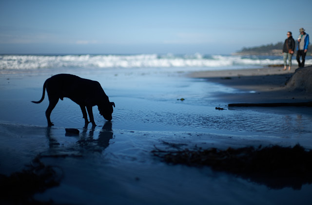 Carmel-by-the-Sea. © Thorsten Overgaard. 