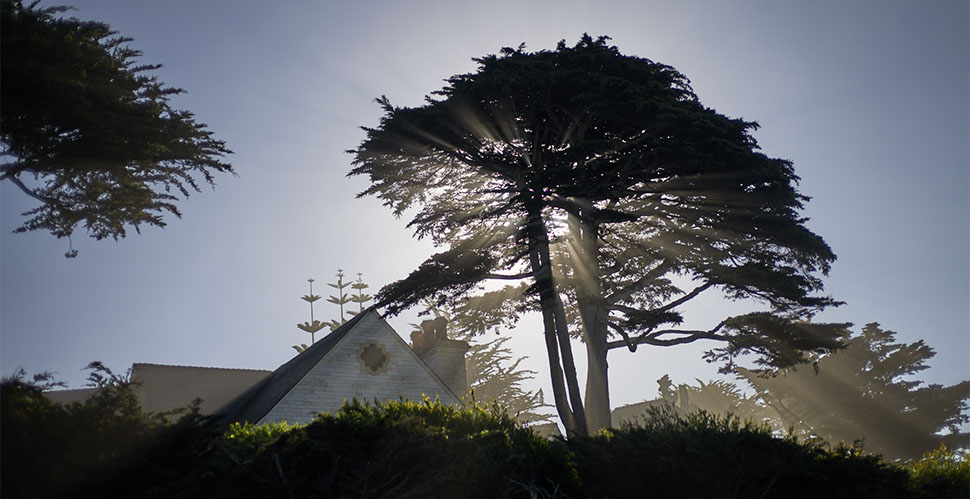 Carmel in California. © Thorsten Overgaard. 