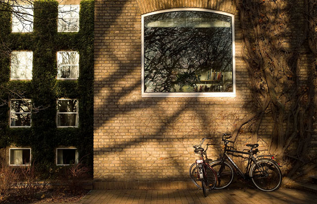 From one of my local reportages throughout the Aarhus University Campus. Is visited every area of the place for a 20-page article. This is seen from the university park. A professors window with some bicycles porked outside. Leica Digilux 2. © 2007-2016 Thorsten Overgaard.