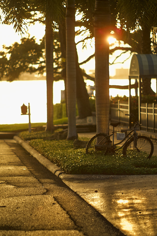 Sunset in Clearwater FL. Leica R9 DMR with Leica 80mm Summilux-R f/1.4 . © Thorsten Overgaard.