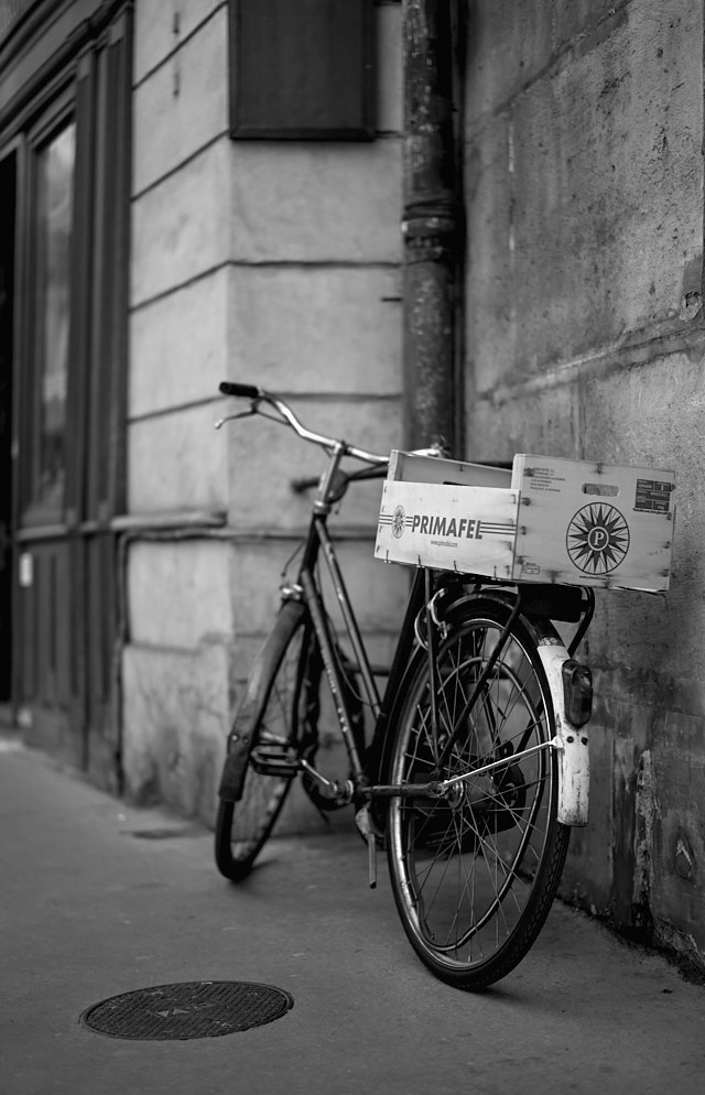 Resting in the shadow. Leica M Monochrom with Leica 50mm Summilux-M ASPH f/1.4 BC. © Thorsten Overgaard.