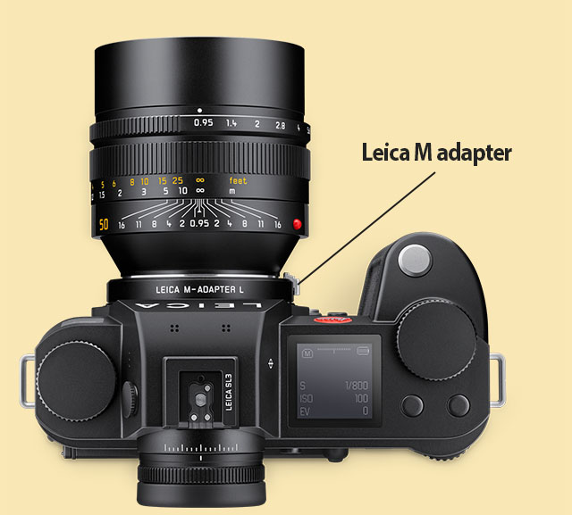 The Leica 50mm Noctilux-M ASPH f/0.95 on the Leica SL3 via M-to-L adapter. 